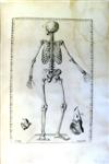 EUSTACHI, BARTOLOMMEO. Romanae archetypae tabulae anatomicae.  1783
